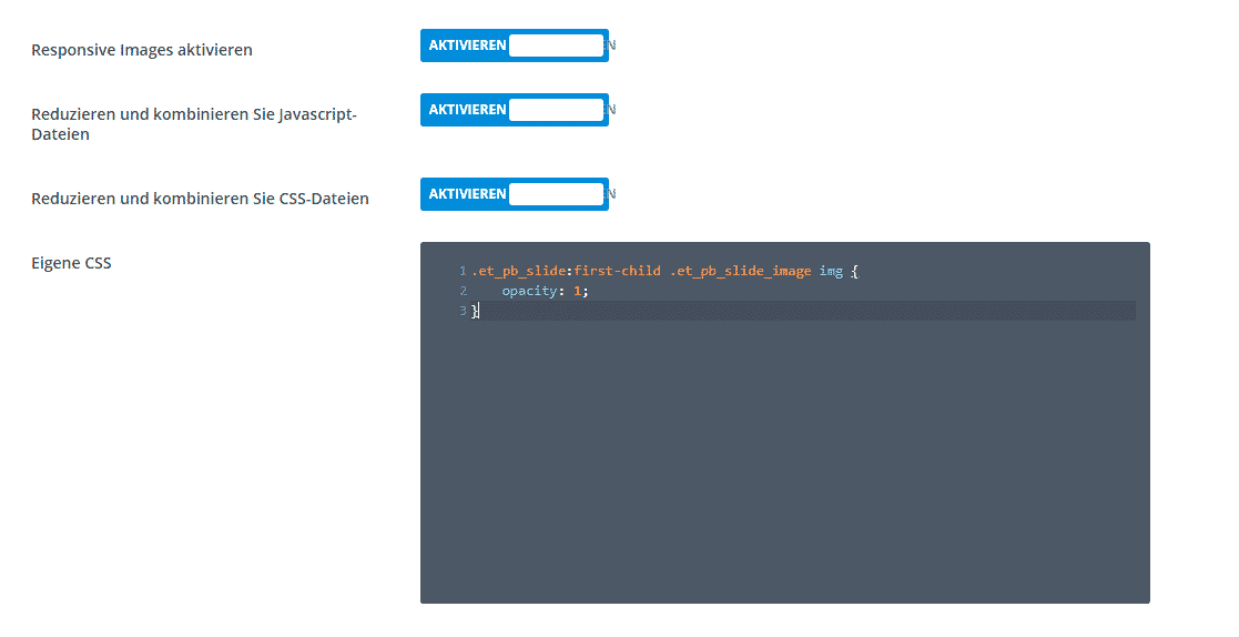 WordPress Divi Slider Bild wird nicht angezeigt? noprob oit